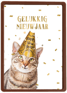 nieuwjaar kaart kat gelukkig nieuwjaar