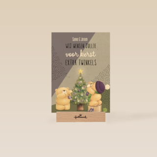 kerstkaart wij wensen jullie voor kerst extra twinkels