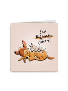 Een lief kindje op komst met Bambi