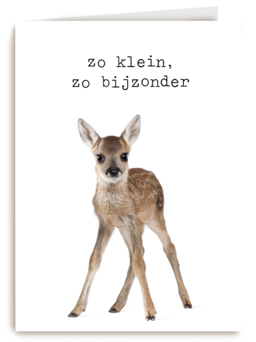 Een furry cuddles kaart zo klein zo bijzonder hert
