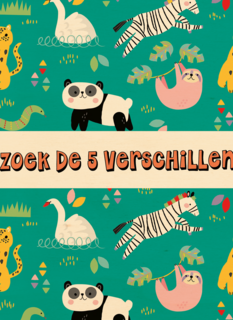 Kinderkaart Zoek de 5 verschillen