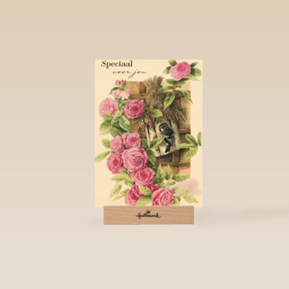 moederdag klassiek speciaal voor jou een bloemetje