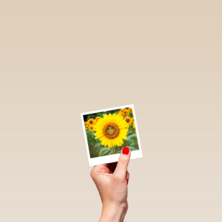 Beterschapskaart zonnebloem met smiley Polaroid