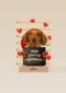 valentijn kaart hond jij bent mijn hartendief