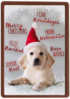 kerstpuppy met muts