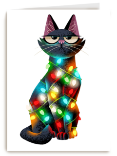kerstkaart grappig kat met kerstlichtjes folio