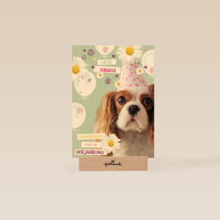 prodo dieren lieve gefeliciteerd met je verjaardag