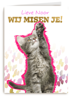 Lieve we missen je kat Op Kamp