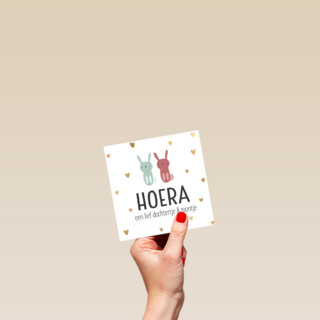 geboorte meerling jongen meisje hoera dochter zoon