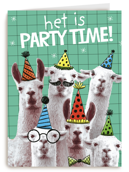 het is partytime met deze lamas