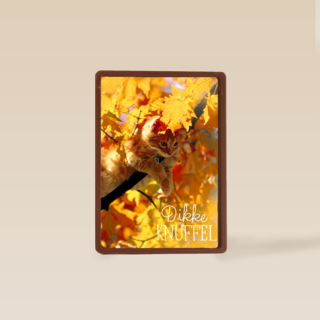 herfst kaart dikke herfst knuffel