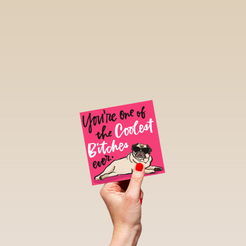 cool bitch