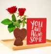 Hartjes Melkchocolade