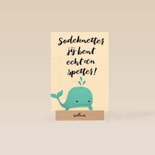 jij bent echt een spetter