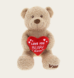 Teddybeer I Love You Beary Much