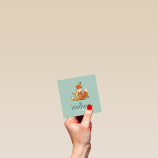 Geboorte felicitatie met vos Welkom lief ventje