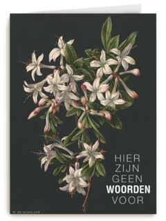 hier zijn geen woorden voor bloemen