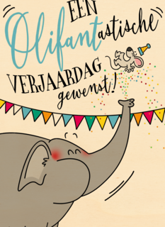 verjaardagskaart een olifantastische verjaardag gewenst