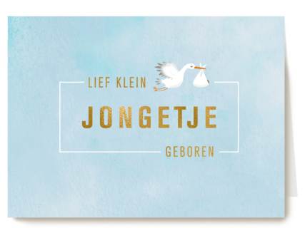 Babykaart zoon Ooievaar Een klein jongetje geboren