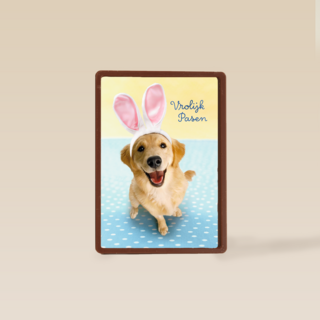 Pasen kaart hond met Paashaas oren