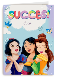 Succes kaart Disney prinsessen