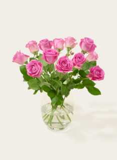 Brievenbusbloemen Rozen Roze