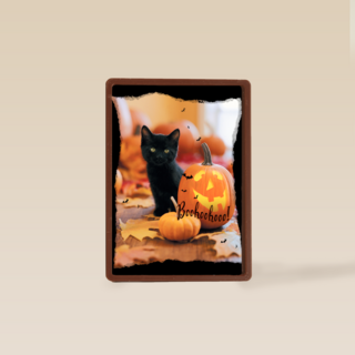 Zwarte kat met pompoen