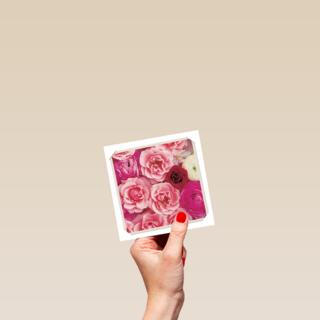 flash bloemen roze