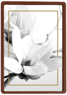 meerdere witte bloemen met goud randje