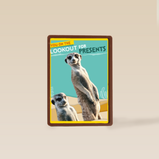 On The Lookout For Presents