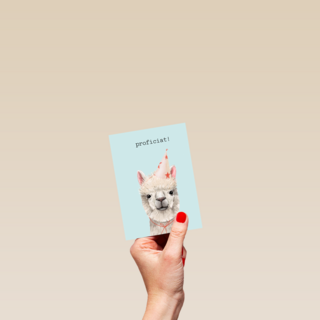 Verjaardag kaart hip happy birthday lama alpaca