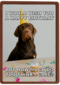 verjaardagskaart met hond met feesthoed