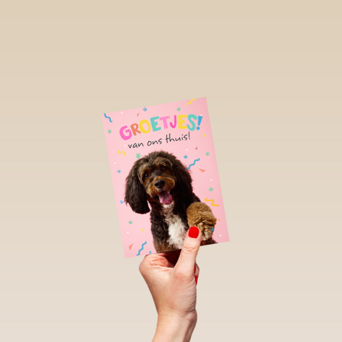 Op Kamp groetjes van thuis hond roze