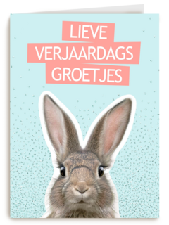 een konijntje voor je verjaardag