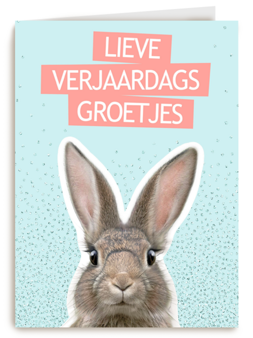 een konijntje voor je verjaardag