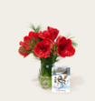 Brievenbusbloemen Amaryllis Rood