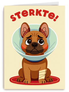 Beterschap Hond Gebroken Poot
