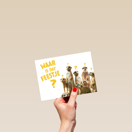 waar is dat feestje met stokstaartjes