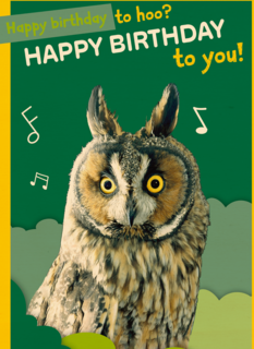 Happy Birthday to hoo