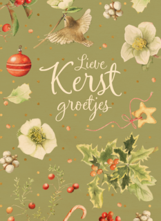kerstkaart marjolein bastin lieve kerst groetjes vogeltje