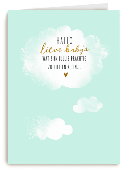 babykaart meerling hallo lieve babys groene achtergrond