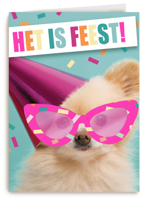 het is feest met hond met bril en hoed