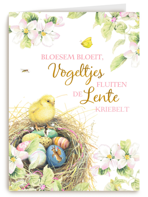 Paaskaart Marjolein Bastin Vogeltjes fluiten