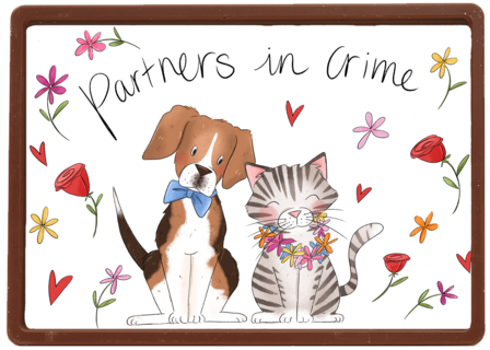 Matia Partners in crime