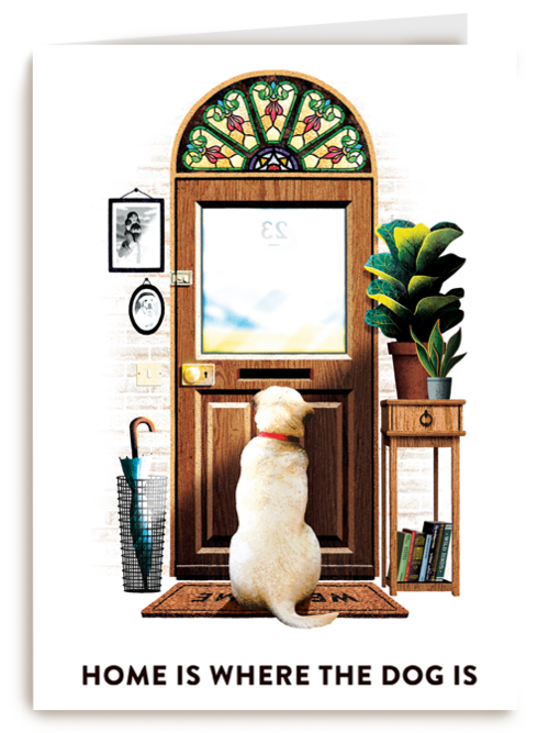 Home is where the dog is
