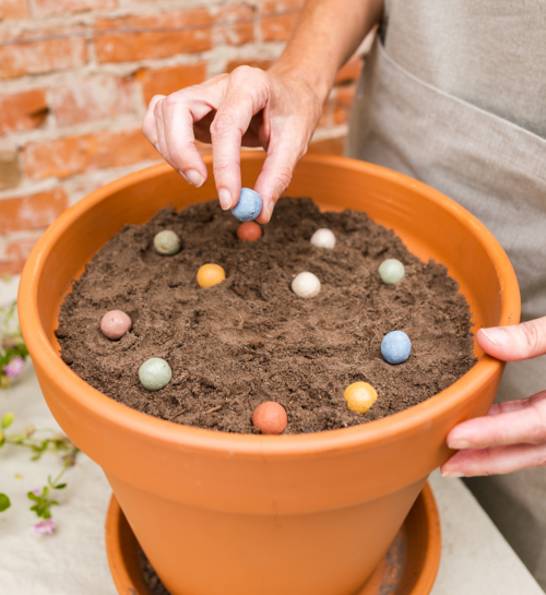 Hoera Het Is Feest Blossombs Box Met 9 Bloemzaden en DIY slinger