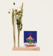 Brievenbuspakket Droogbloemen Kaarthouder Flowershot Kerst