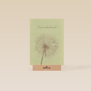 gecondoleerd paardenbloem