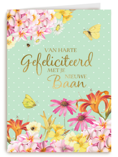 nieuwe baan kaart marjolein bastin