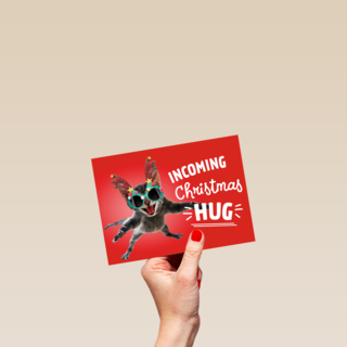 Kerstkaart Grappig Incoming Christmas hug